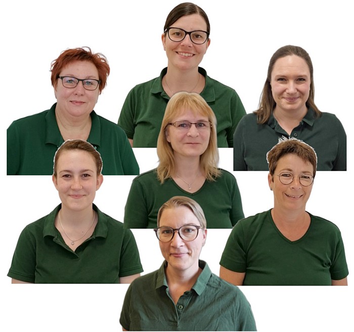 Fit mit Physio Team-Collage